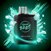 Extreme Mint Iced Disposable Vape